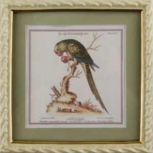 Панно настенное Parrot 22X23 CM HomeAdore