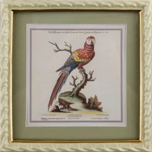 Панно настенное Parrot 22X23 CM HomeAdore