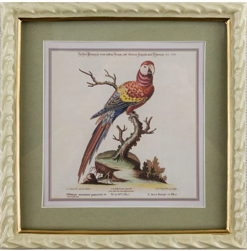 Панно настенное Parrot 22X23 CM HomeAdore