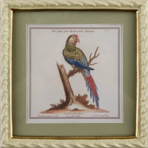Панно настенное Parrot 22X23 CM HomeAdore