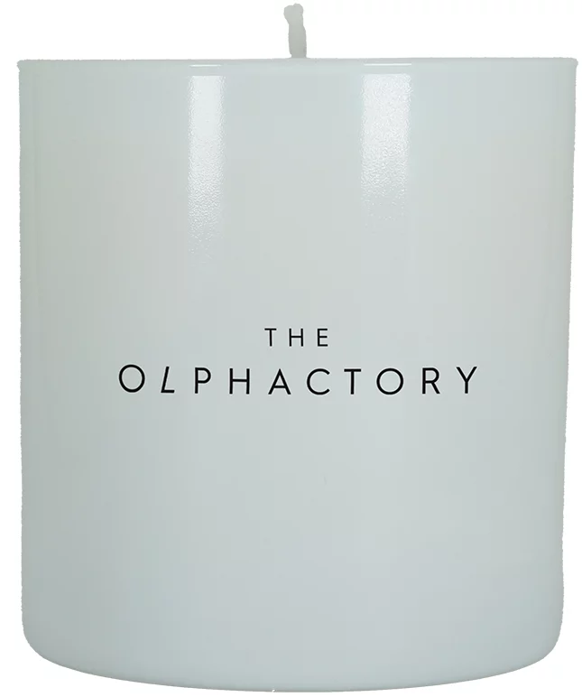 Свеча ароматическая The Olphactory White Insignia Mystique boughs 60 часов горения Ambientair — изображение 5