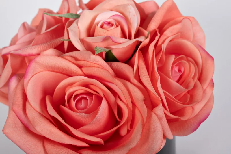 Диффузор Five Rose Peach 18X18X16 CM COTE NOIRE — изображение 4