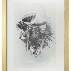 Постер Golzar 30X40 CM Tomas Stern