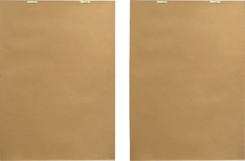 Комплект из двух постеров в раме Bird 50X70 / 50X70 CM HomeAdore — изображение 7