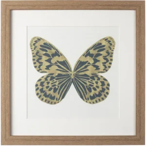 Постер Tyra 30X30 CM Tomas Stern