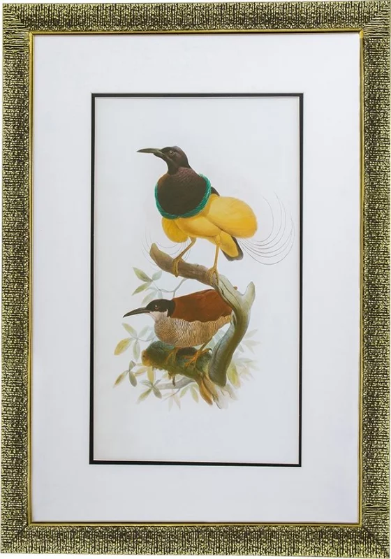 Комплект из двух постеров в раме Bird 50X70 / 50X70 CM HomeAdore — изображение 3