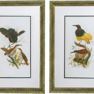 Комплект из двух постеров в раме Bird 50X70 / 50X70 CM HomeAdore