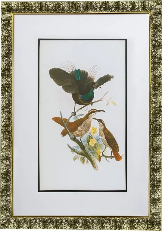 Комплект из двух постеров в раме Bird 50X70 / 50X70 CM HomeAdore — изображение 2