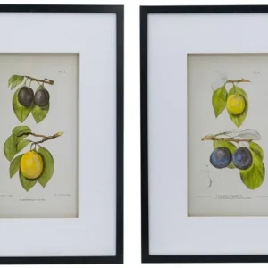 Комплект из двух постеров Flora 50X70 / 50X70 CM HomeAdore