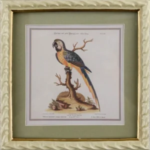 Панно настенное Parrot 22X23 CM HomeAdore