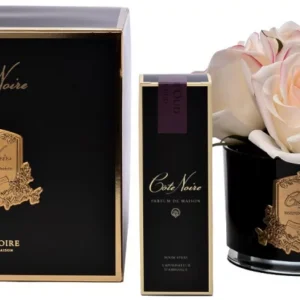 Диффузор Five Rose Blush 18X18X16 CM COTE NOIRE