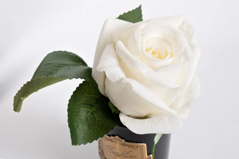 Диффузор Rose Bud White Rose Oud 8X8X14 CM COTE NOIRE — изображение 2