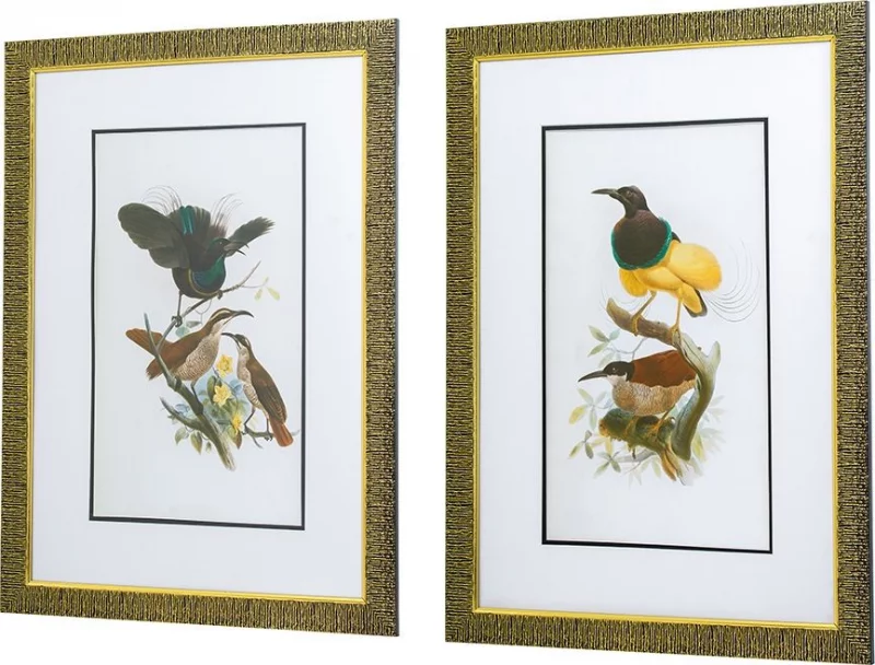 Комплект из двух постеров в раме Bird 50X70 / 50X70 CM HomeAdore — изображение 4